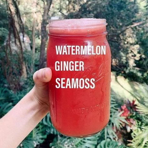 Sea Moss Juice Recipes, Healthy Water Drinks, Juice Smoothies Recipes, Sea Moss Gel, Ginger Juice, Healthy Water, Cold Pressed Juice, Ginger Recipes, Alkaline Foods