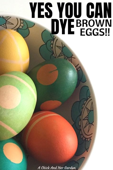 Dye Brown Eggs, Traditional Homemaking, Homestead Livestock, Homestead Diy, Homesteading Life, Homesteading Tips, Scratch Cooking, Easter Eggers, Modern Homestead