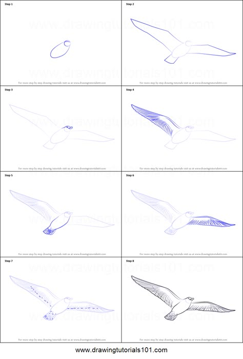 Flying Bird Drawing, Birds Drawing, Bird Sketch, Drawing Sheet, Bird Drawing, Basic Drawing, Soyut Sanat Tabloları, Flying Bird, Drawing Tutorial Easy