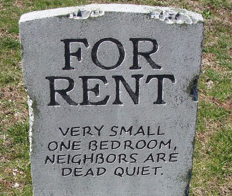 A For Rent Headstone Tombstone Quotes, Stone Quotes, Halloween Tombstones, When I Die, Halloween Home Decor, Tombstone, Memes Quotes, Bumper Stickers, For Rent