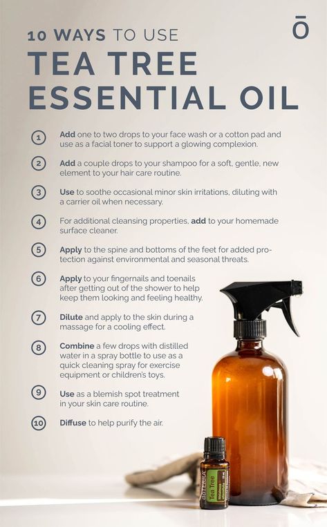 Doterra Tea Tree Oil, Tea Tree Oil Uses, Melaleuca Essential Oil, Holistic Products, Essential Oil Combinations, Diy Essential Oil Recipes, Doterra Essential Oils Recipes, Essential Oil Diffuser Blends Recipes, Essential Oils Guide