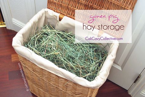 Cali Cavy Collective: a blog about all things guinea pig: Guinea Pig Hay Storage Rabbit Storage Ideas, Bunny Hay Storage, Bunny Storage Ideas, Hay Storage Ideas Bunny, Rabbit Hay Storage, Guinea Pig Enrichment Ideas, Hay Storage Ideas, Hay Holder, Storage Wicker