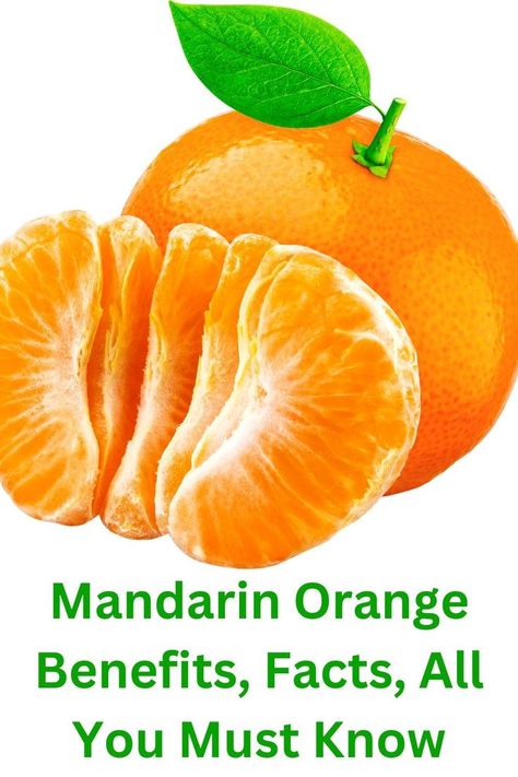 Today's article will cover all of the benefits, uses, nutritional values, and reasons why you should try it if this is your first time hearing about it. The mandarin orange is part of the citrus family, which is enriched with Vitamin C. A single mandarin can provide your body with about a third of your daily vitamin C. This fruit is simple to consume, and it has high nutritional value. Orange Health Benefits, Orange Benefits, Oranges Benefits, Beetroot Recipes, How To Stop Coughing, Cleansing Drinks, Ginger Drink, Daily Vitamin, Liver Diet