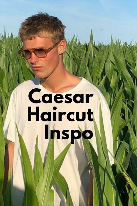 NOT MY PIC, PLEASE DM FOR CREDIT/REMOVAL. Discover the top 25 Caesar haircuts for men at Heartafact.com! Learn about curly Caesar cuts, Y2K 2000s styles, short, straight, and faded Caesar haircuts. Explore trendy looks including long and medium cuts, blonde, dark, messy, jet black, and 90s style Caesar hair. From point cuts to drop fades and textured finishes, find your perfect Caesar haircut. #curlyhairmen #caesarhaircut #90shairstylesmen #hairinspo Cool Haircuts Men, Short Blonde Mens Haircut, Straight Hair Man Haircut, Mens Professional Haircut, Blonde Short Hair Men, Long Caesar Haircut, Blonde Haircuts Men, Hairstyles For Men Straight Hair, Man Short Haircut