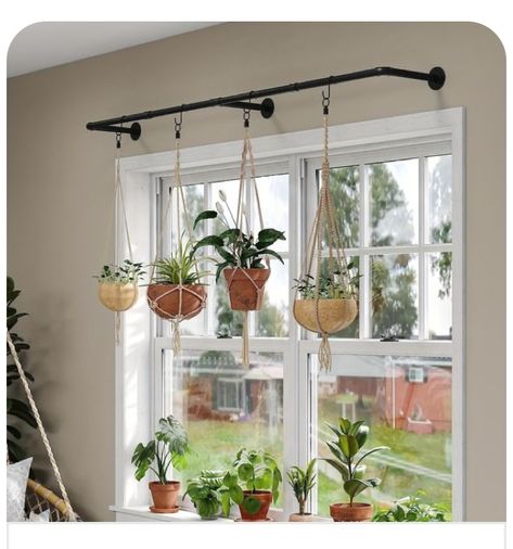 Pipe Clothes Rack, Bay Window Living Room, Vertical Wall Planters, Hanging Clothes Racks, Heavy Duty Clothes Rack, Hanging Plant Wall, Vertical Planter, Indoor Window, Hanging Flower Pots