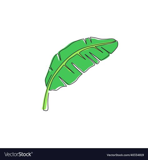 Banana Leaf Drawing, Cute Banana, Single Line Drawing, Leaf Drawing, Leaves Vector, Single Line, Banana Leaf, Line Drawing, Plant Leaves