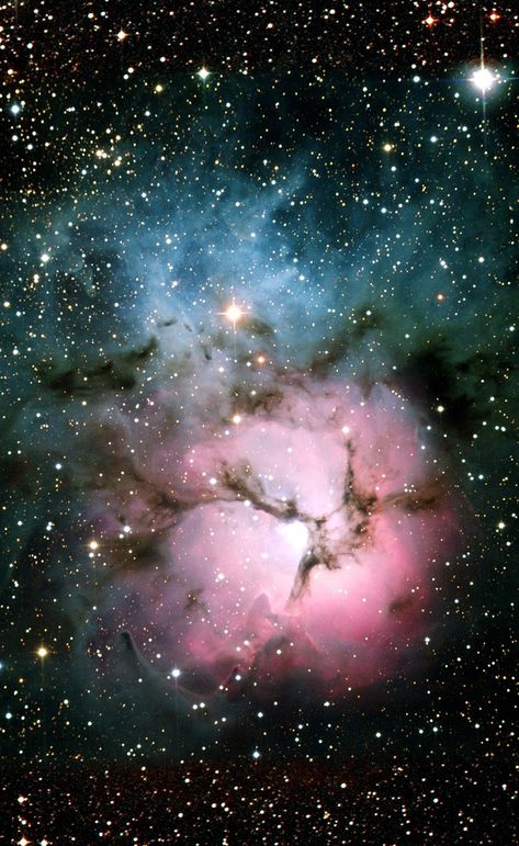 Download free HD stock image of Trifid Nebula Messier 20 Carl Sagan Cosmos, Helix Nebula, Space Facts, Orion Nebula, Star Cluster, Hubble Space, Space Pictures, Hubble Space Telescope, Space Telescope