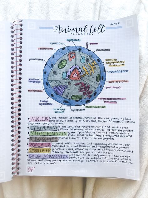 Credit to @anniestudiesss on instagram Cell Notes Biology Class 9 Aesthetic, Science Notes Cells, Fundamental Unit Of Life Notes Class 9, Animal Cell Notes, Cell Membrane Notes, Bio Notes Aesthetic, Zoology Aesthetic Notes, Life Science Notes, Aesthetic Biology Notes