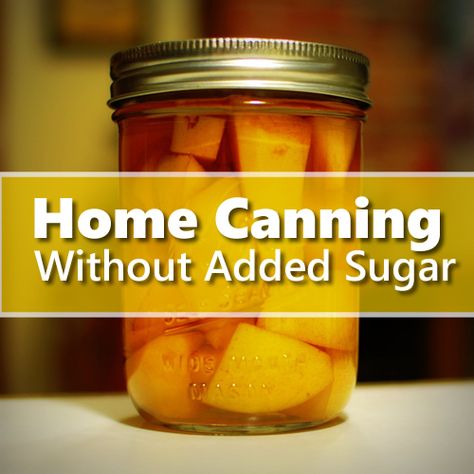 Canning For Diabetics, Canning Mushrooms, Apple Recipes For Canning, Canning Plums, Pickles Recipes, Preserving Fruit, Fermenting Foods, Canning Pressure Cooker, Jelly Making