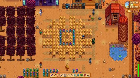 Honey Layout Stardew, Honey Farm Stardew Valley, Stardew Honey Farm, Stardew Valley Honey Farm, Stardew Valley Honey Layout, Stardew Valley Honey, Stardew Valley Beehive, Stardew Valley Beehive Layout, Stardew Valley Layout