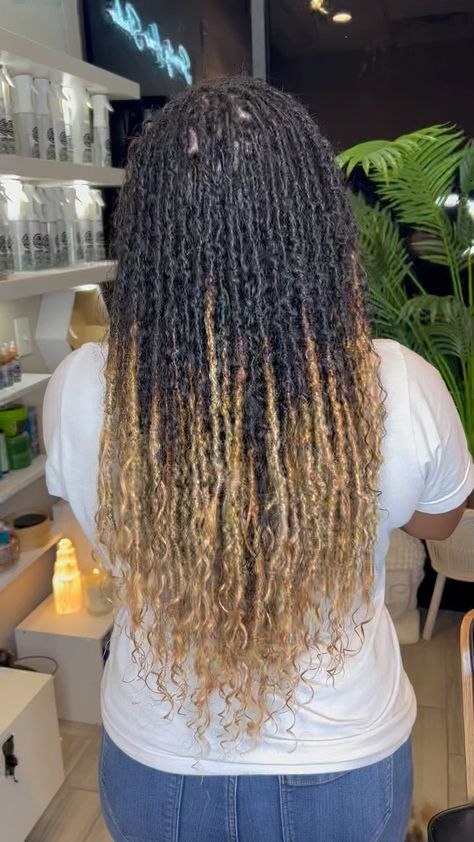 Ombre Goddess Locs, Goddess Locs Real Hair, Locs Real Hair, Natural Goddess Locs, Jah Locs, Braids 2023, Loc Extensions Human Hair, Curly Locs, Color Braids