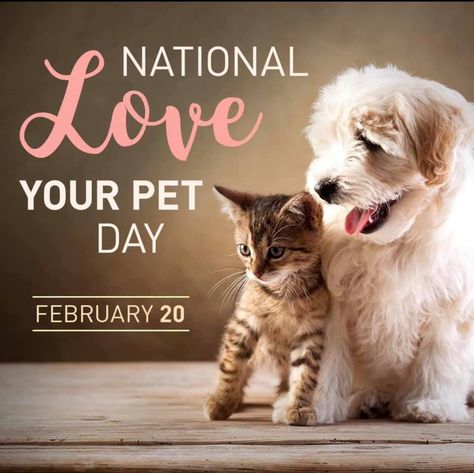 Pet Love Quotes, Happy Dog Quotes, National Love Your Pet Day, Animal Love Quotes, Animal Lover Quotes, World Holidays, Cute Cat Quotes, Pets Quotes, Cute Dog Quotes