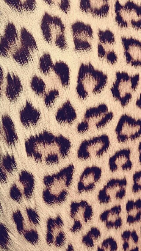 Leopard fur Cheetah Print Wallpaper, Leopard Art, 2013 Swag Era, Animal Print Wallpaper, Car Accessories For Girls, Los Angeles Usa, Printed Backgrounds, Pretty Wallpaper Iphone, Diy Life Hacks