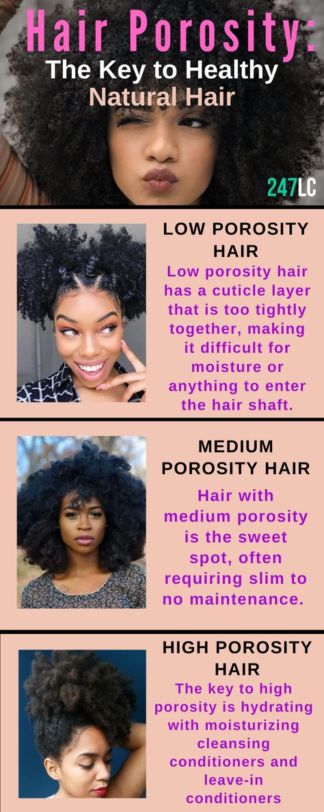 Understanding your porosity level is essential in understanding what products to use! Here are some tips to maintaining healthy natural hair!  #naturalhairtips #naturalhaircare #hairporosity #naturalhairproducts 4c Natural Hair Care Products, Prepoo For High Porosity Hair, How To Maintain 4c Natural Hair, 4c High Porosity Hair Care, Low Density Natural Hair, High Porosity Hair Tips, High Porosity Hair Products, High Porosity Hair Regimen, 4c Natural Hair Care