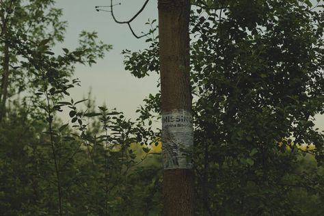 finding an old missing poster in the middle of the woods is a little strange Missing Poster Aesthetic, Gravity Falls Town, Dog Logic, Missing Poster, Small Town Mystery, Lost Angel, Weeping Angels, Film Ideas, Final Girl