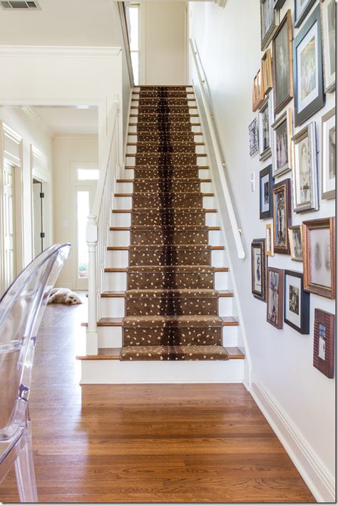 Love the runner! / via Cote de Texas Staircase Styles, Staircase Runner, Staircase Remodel, Staircase Makeover, Diy Spring, Stair Runner Carpet, Carpet Stairs, Stair Runner, Décor Diy