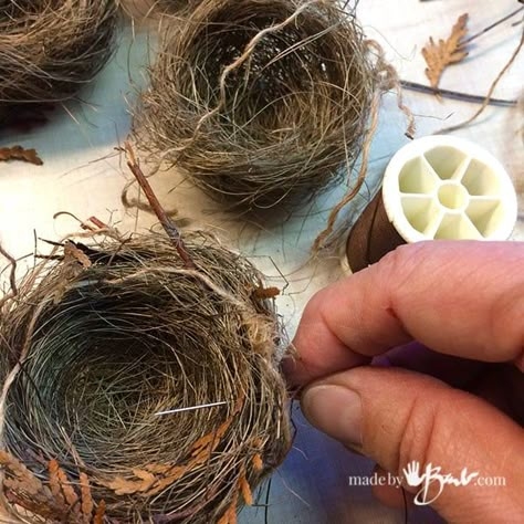 Make your own Birds Nests, easter and Bird themed decor ideas Nest Craft, Bird Nest Craft, Diy Easter Eggs, Birds Nests, Bird Nests, Creative Diy Gifts, Diy Birds, Glass Cloche, Bird Crafts