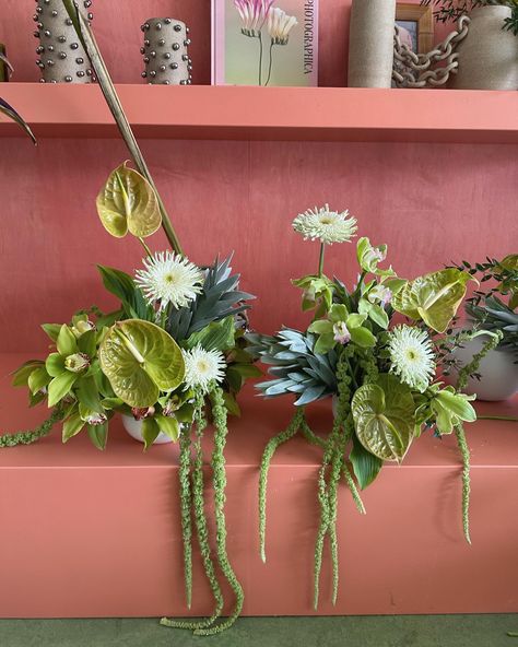 Modern greens and a build your own bouquet stand for @shoprangel x @shopbop Green Floral Arrangements, Bouquet Stand, Build Your Own Bouquet, Floral Studio, Build Your Own, Floral Arrangements, Color Schemes, Instagram Photos, Photo And Video