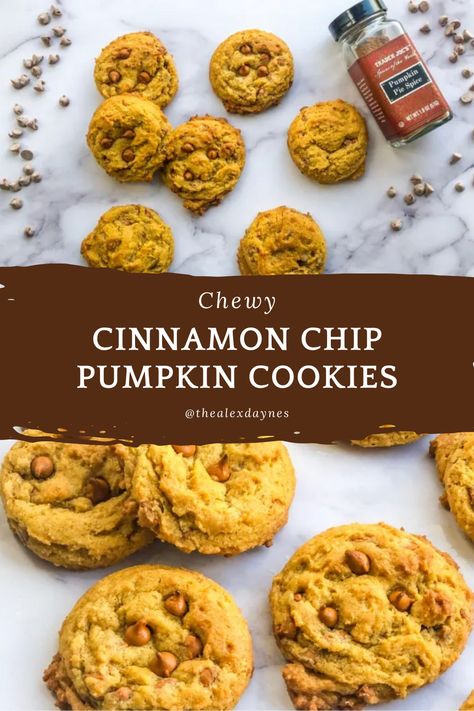 These are the best pumpkin cookies ever! Want to know why? Because rather than being a fluffy and cake like, these cook up to taste like actual cookies. They are the perfect Chewy Cinnamon Chip Pumpkin Cookies! The real treat are the cinnamon chips! As you can probably tell, I am very excited about this cookie recipe! Make it with me!! Cinnamon Chip Cookies Recipes, Pumpkin Cinnamon Chip Cookies, Cinnamon Chips Recipes, Pumpkin Chip Cookies, Cinnamon Chip Cookies, Best Pumpkin Cookies, Cinnamon Chip Recipes, Pumpkin Cookies Easy, Pumpkin Chip