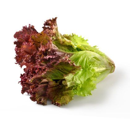 Red Leaf Red Lettuce Salad, Calorie Free Foods, Chicken Caesar Sandwich, Red Lettuce, Feta Pasta Salad, Lettuce Recipes, Red Leaf Lettuce, Leaf Lettuce, Feta Cheese Salad