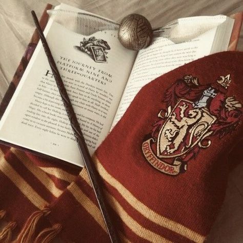 Gryffindor Pride, Gryffindor Aesthetic, Harry Potter Wall, Harry Potter Book, Buku Harry Potter, Theme Tattoo, Harry Potter Images, Images Harry Potter, Harry Potter Houses