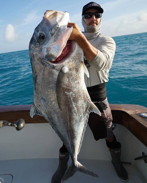 African Pompano Fishing- Tips and Techniques Pompano Fish, Salt Water Fishing, Fishing Pictures, Barack And Michelle, Fishing Charters, Types Of Fish, Water Life, Deep Sea Fishing, Sea Fishing