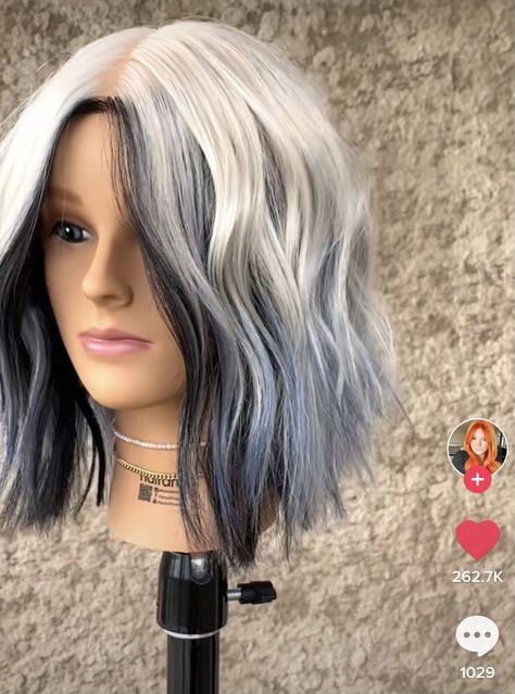 White Grey Balayage Hair, White Hair On Top Black Underneath, Platinum Blonde Hair With Fun Colors, White And Dark Hair Ideas, Black Tip Hair Blonde, Silver On Top Black On Bottom Hair, Silver Hair With Black Underneath, Black And White Hair Medium Length, 2 Tone Color Hair