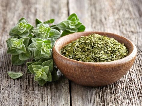 Fresh oregano herb and a wooden bowl of dried oregano on a wooden table Antiviral Essential Oils, دورة شهرية, Salvia Officinalis, Turmeric Recipes, Oregano Leaves, Oregano Oil, Crassula Ovata, Aromatic Herbs, Sauvignon Blanc