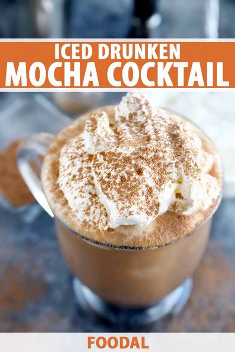 If you want a double dose of buzz, this iced drunken mocha cocktail is the recipe to dole it out. The combination of chocolate, espresso, and coffee liqueur makes for a caffeinated serving of happy hour goodness. Get the recipe now on Foodal. #coffeecocktailrecipe #easycocktail #cocktailparty #foodal Mocha Cocktail, Chocolate Coffee Drinks, New Years Cookies, Coffee Liqueur, Iced Mocha, Chocolate Espresso, Salted Caramel Chocolate, Healthy Meal Delivery Service, Healthy Food Delivery