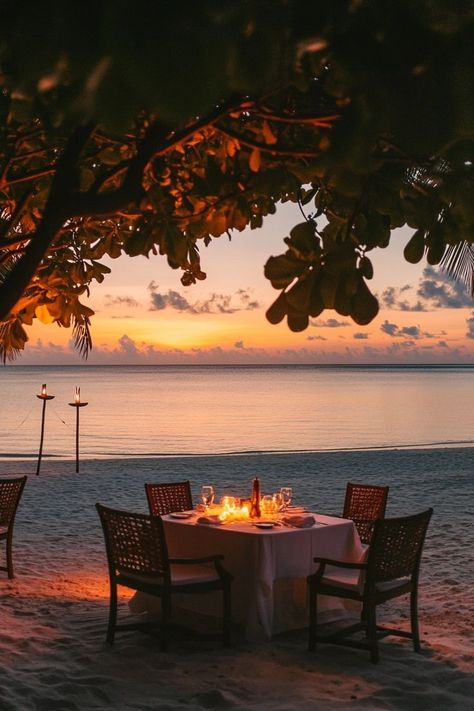 "🍽️🌴 Enjoy an exquisite beach dinner in the Maldives! With stunning ocean views and a private setting, it's the ultimate tropical dining experience. 🏝️🍤 #MaldivesDinner #BeachDining #TropicalParadise" Beach Dining, Private Dinner, Maldives Beach, Beach Dinner, Romantic Beach, The Maldives, Private Beach, Rich Life, Ocean Views