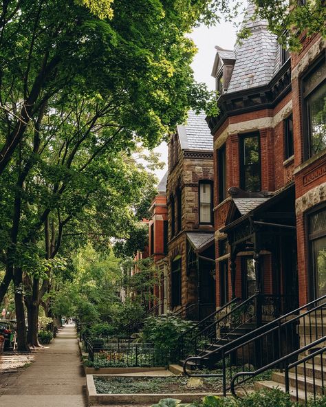 Strolling through Lincoln Park. Chicago’s hidden gem where city meets nature. The skyline peeks through, but all you feel is calm and serenity. Whether it’s the gardens, the zoo, or just these quiet streets, there’s something so grounding here ☺️ #LincolnPark #ChicagoDays #CityEscape #sonyalphafemale Lincoln Park Chicago Aesthetic, Chicago Lincoln Park, Lincoln Park Zoo Chicago, Hyde Park Chicago, Grant Park Chicago, Lincoln Park Chicago, Chicago Aesthetic, Lincoln Park Zoo, Chicago House