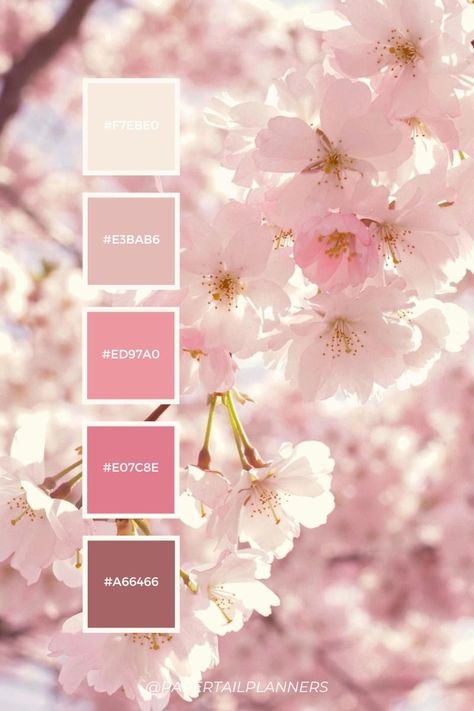 Cherry Blossom Pink Color, Color Palette Blush Pink, Cherry Blossom Wedding Color Palette, Pink Palette Aesthetic, Pink Aesthetic Color Palettes, Pink Palette Colour Schemes, Color Pallets Pink, Pink Pallet Color, Sakura Color Palette