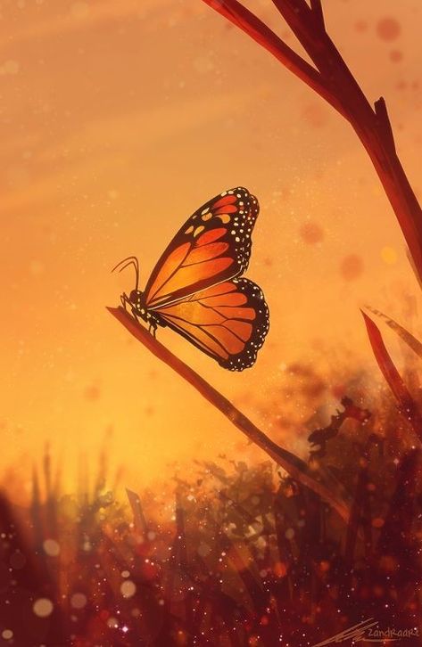 Aesthetic Orange Images, Cool Orange Wallpapers, Orange Aesthetic Wallpaper, Raindrops And Roses, Sunflower Pictures, Moth Art, Butterfly Photos, Orange Butterfly, Butterfly Pictures