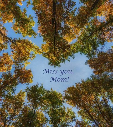 101 Melting Quotes About Missing Mom Melting Quotes, Inspirational Quotes For Husband, Quotes About Missing, Miss You Mom Quotes, Missing Mom, Miss Mom, Missing Quotes, Mom In Heaven, Mother Daughter Bonding