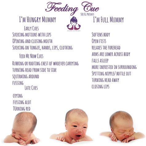 My baby is aways hungry (or is she?) Find out more about hungry cues of your baby and how to manage it. How Many Ounces To Feed Baby, Feeding The Hungry, Hunger Cues Baby Newborns, How Much To Feed Baby, Baby Size By Week Fruit, Baby Growth Spurts, Newborn Needs, Newborn Feeding, Baby Help