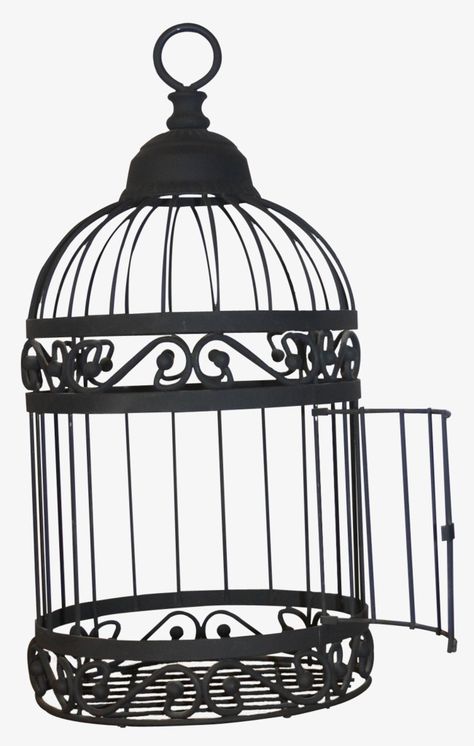 Birdcage Drawing, Birdcage Tattoo, Butterfly Cage, Bird In A Cage, Cage Tattoos, Black Bird Tattoo, Bird Clipart, Vintage Bird Cage, Bird Cages