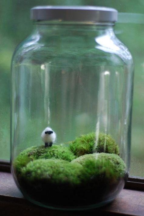 20 decorative mason jar ideas. This cute mason jar landscape created with moss and an animal figurine. Irish Landscape, Terraria, Deco Floral, Mason Jar Crafts, Jar Crafts, Miniature Garden, Mini Garden, Animal Figurines, Home Fashion