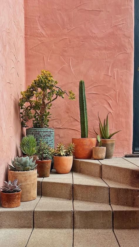 Cactus Garden Design, Mexican Garden, Blue Terracotta, Concrete Effect Paint, Southwestern Home, Small Backyard Gardens, Hacienda Style, Rustic Blue, Desert Plants