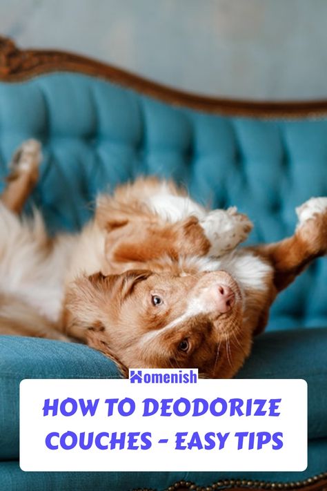 Furniture Odor Eliminator, Remove Pet Odor From Couch, Couch Smells Like Dog, Diy Couch Deodorizer Spray, Couch Freshener Diy, Remove Dog Smell From Couch, How To Get Odor Out Of Couch, Smelly Couch Remedy, Refresh Couch Cushions Smell