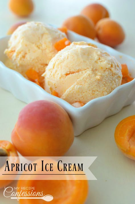 Apricot Ice Cream- This homemade Apricot Ice Cream is easy and irresistible! It is smooth and creamy and makes the perfect dessert! This easy to follow recipe is the best there is! Apricot Ice Cream, Weight Watcher Desserts, Apricot Recipes, Lemon Ice Cream, Ice Cream Maker Recipes, Dessert Aux Fruits, Homemade Ice Cream Recipes, Sorbet Recipes, Low Carb Dessert