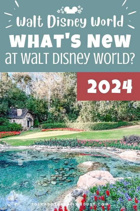 Adults At Disney World, 1 Day At Disney World, Free Things To Do At Disney World, Disney World 2024 Tips, Disney World In January 2024, Walt Disney World Tips And Tricks, Orlando Florida Disney World, Disney 2024 Tips, Disney Must Do