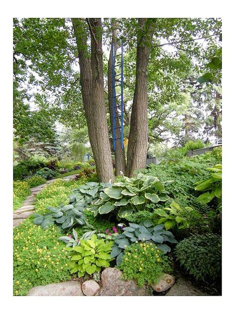 Yellow Corydalis, Backyard Hill, Minnesota Garden, Painted Fern, Blue Hosta, Plant Combos, Hosta Varieties, Sweet Woodruff, Hosta Gardens