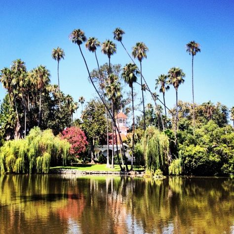 LA Arboretum- Arcadia~ decided I need a ME day and I will spend it there doing nothing but maybe read a book I have not yet opened. La Arboretum, Los Angeles Arboretum, Arcadia California, Sweet California, Los Angles, Botanic Garden, Historic Buildings, Special Places, City Life