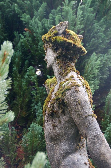 Forest Guardian, Nik Naks, Stone Statue, Moss Garden, Stone Statues, Skylark, Georges Braque, Garden Gates, Garden Statues