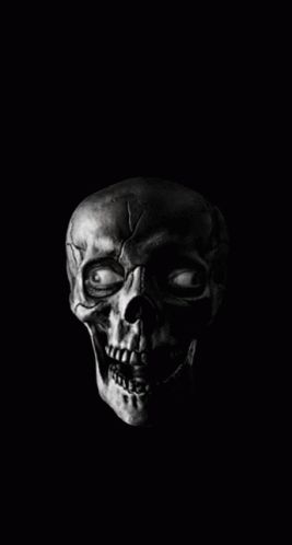 Skull Laughing, Skull Wallpaper Iphone, Lion Hand Tattoo, Laughing Gif, Arte Zombie, Metallica Art, Snake Wallpaper, Live Backgrounds, Halloween Props Diy