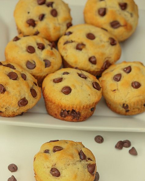 Eggless Chocolate Chip Muffins, Eggless Blueberry Muffins, Chocolate Chips Muffins, Eggless Cupcakes, Eggless Muffins, Basic Muffin, Chocolate Chip Muffin Recipe, Double Chocolate Muffins, Cranberry Orange Muffins