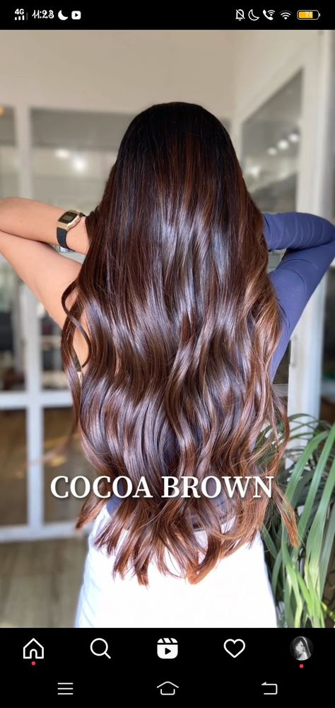 Cocoa Brown Hair, Brown Hairs, Cocoa Brown, Brown Hair, Cocoa, Hair Color, Long Hair Styles, Hair Styles, Hair