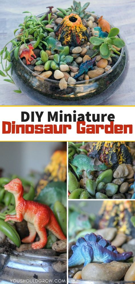 Miniature dinosaur garden diy: make this fairy garden for boys filled with succulent plants, mini dinos, and a volcano! Dinosaur Garden, Fairytale Garden, Succulent Garden Diy, Diy Bricolage, Fairy Garden Diy, Garden Designs, Diy Garden Projects, Succulent Plants, Garden Lovers