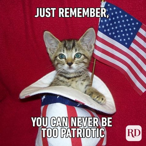 4th Of July Funny Pictures, Fourth Of July Meme, 4th Of July Songs, Usa Meme, American Meme, Gif Quotes, 4th Of July Images, Independence Day Quotes, Caw Caw