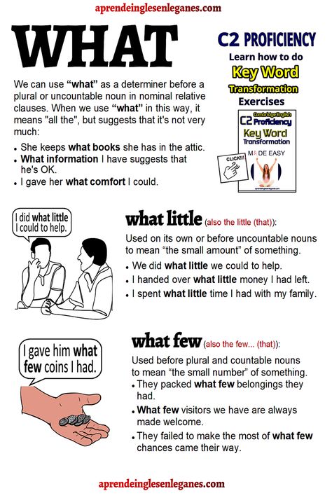 WHAT, WHAT LITTLE, WHAT FEW Countable Nouns, Word Transformation, English Desk, English Proficiency, Relative Clauses, Uncountable Nouns, Basic English Sentences, English Collocations, English Time